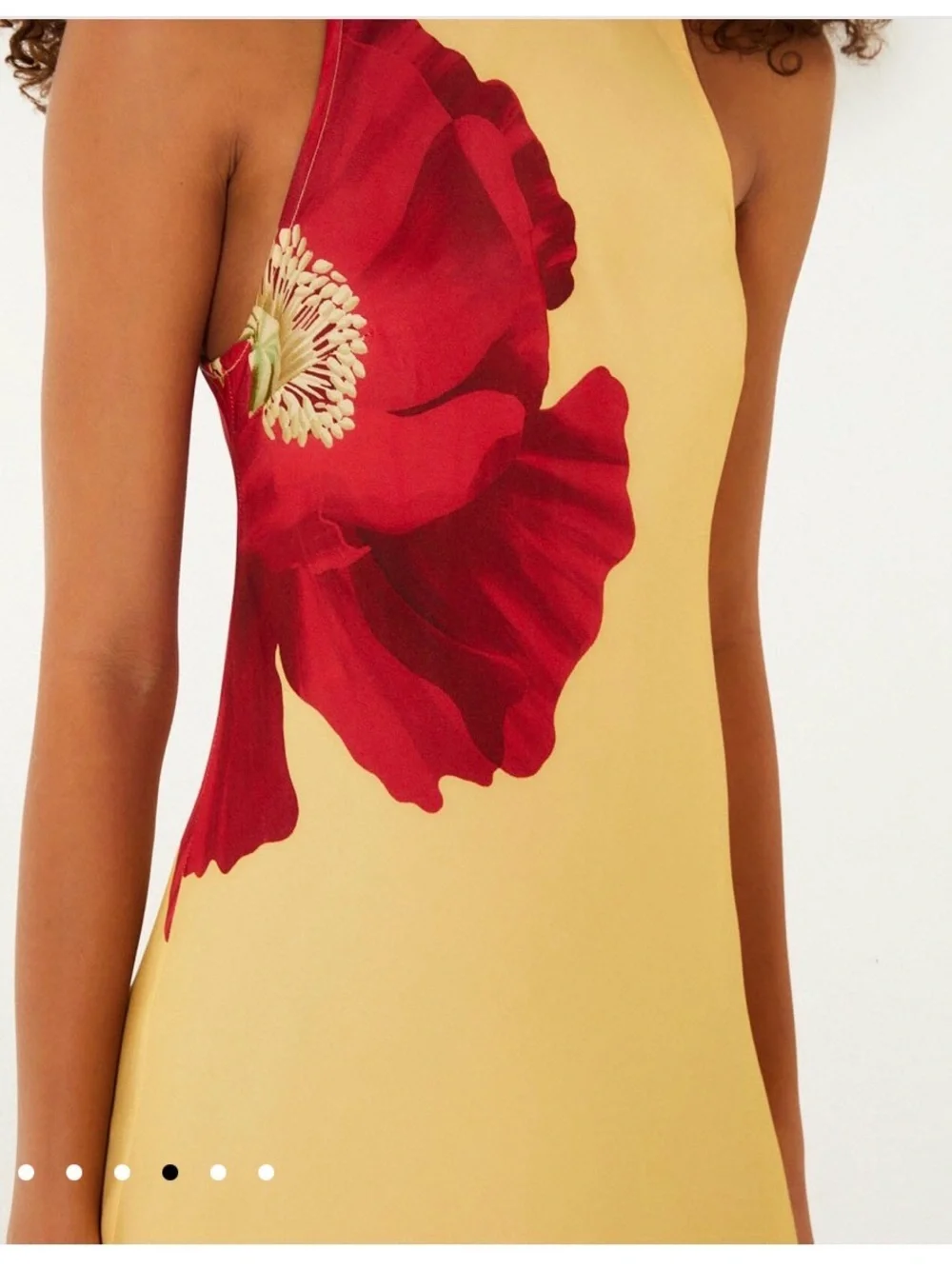FARM Rio Yellow Maxi Dress with Red Floral Print - Picture 4 of 7